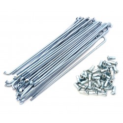 Rayons arrière IT 250 / 490 1981-1984 Inox