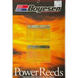 Clapets Boyesen Power Reeds Maico 250-490