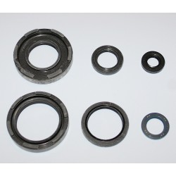 Kit spi bas-moteur IT 250-490 1983/1984