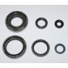 Kit spi bas-moteur IT 250-490 1983/1984