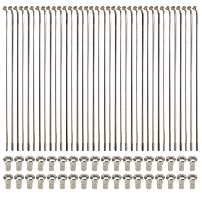 Rayons arrière YZ 125 1983 Inox