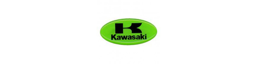 Kawasaki